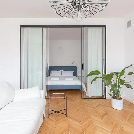 Designer In The By Bookinghost